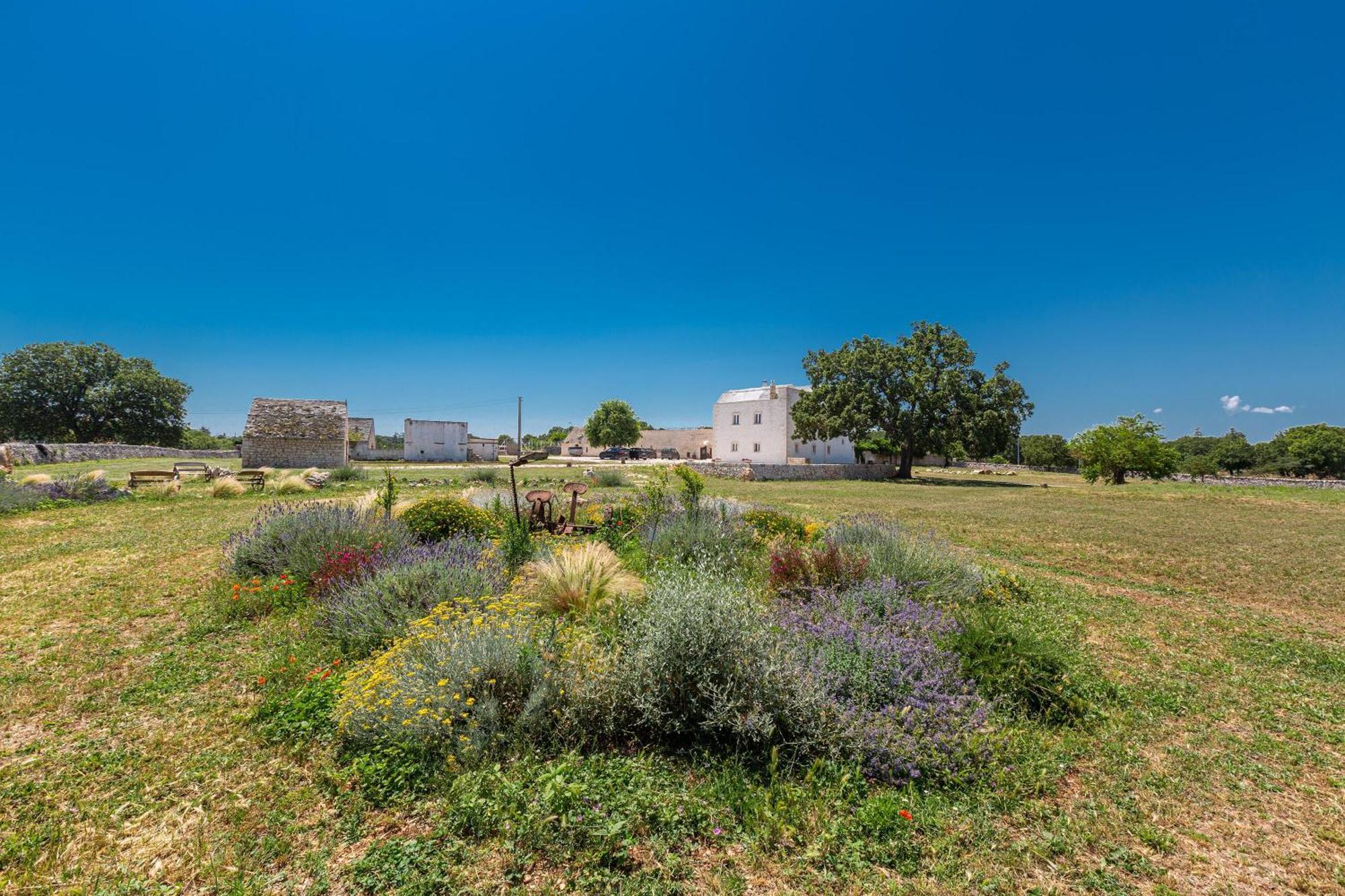 Masseria Nicola Casavola مارتينا فرانكا المظهر الخارجي الصورة